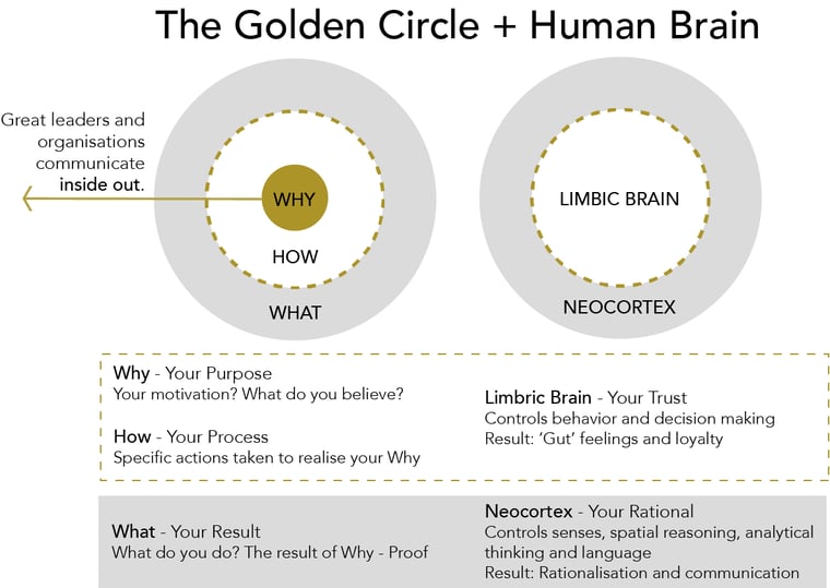 Sinek's Golden Circle in comparison to our Brain System Concept
